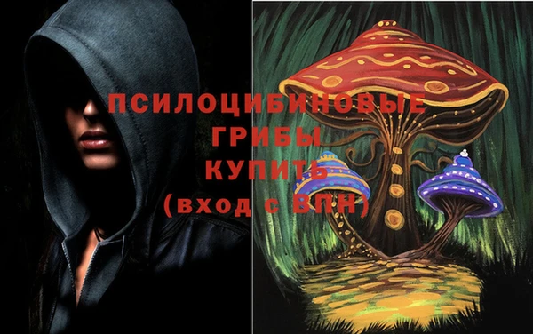 стаф Алексин